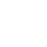 业务数据